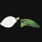 D'ete by Kenzo Perfume for Women 2.5 oz Eau De Parfum Spray