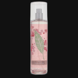 Green Tea Cherry Blossom Fine Fragrance Mist by Elizabeth Arden Perfume for Women 8 oz Fine Fragrance Mist