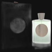 Posh On The Green by Atkinsons Perfume for Women 3.3 oz Eau De Parfum Spray