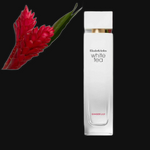 White Tea Ginger Lily by Elizabeth Arden Perfume for Women 3.4 oz Eau De Toilette Spray